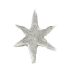 bright star