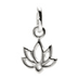 happy lotus