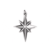 north star