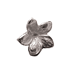 plumeria