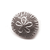 sand dollar