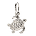 sea turtle