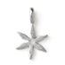 star flower