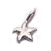 starfish