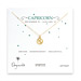capricorn zodiac gold dipped necklace