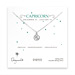 capricorn zodiac sterling silver necklace