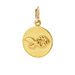 fish charm, gold dipped