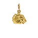 lion charm, gold dipped