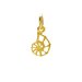 nautilus shell charm, gold dipped