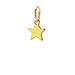 star charm, gold dipped