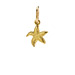starfish charm, gold dipped