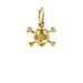 skull & crossbones charm, gold dipped