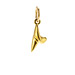 shark tooth charm, gold dipped