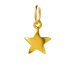 full star charm, gold dipped