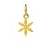 star flower charm, gold dipped