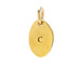 "C" charm, gold dipped