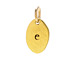 "E" charm, gold dipped