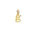open g charm, gold dipped