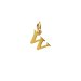 open w charm, gold dipped