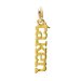 taken charm, gold dipped