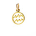 zodiac "aquarius" charm, gold dipped