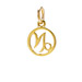 zodiac "capricorn" charm, gold dipped