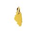 illinois charm, gold dipped