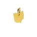 ohio charm, gold dipped