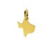 texas charm, gold dipped