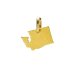 washington charm, gold dipped