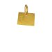 colorado charm, gold dipped