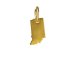 indiana charm, gold dipped