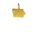 iowa charm, gold dipped