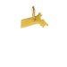 massachusetts charm, gold dipped