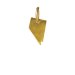 nevada charm, gold dipped