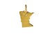 minnesota charm, gold dipped