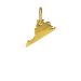 virginia charm, gold dipped