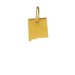 new mexico charm, gold dipped