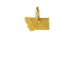 montana charm, gold dipped