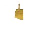 arizona charm, gold dipped