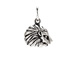 lion charm, sterling silver