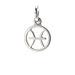 zodiac "pisces" charm, sterling silver