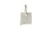 new mexico charm, sterling silver