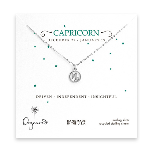 capricorn zodiac sterling silver necklace