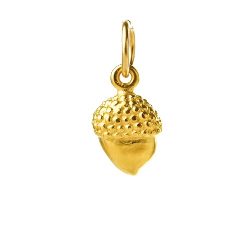 acorn charm, gold dipped