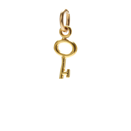 simple key charm, gold dipped