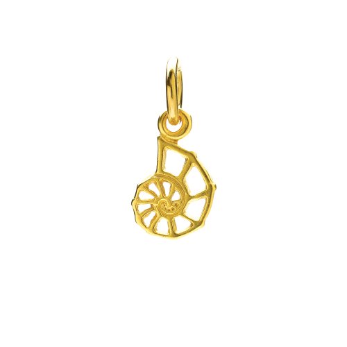 nautilus shell charm, gold dipped