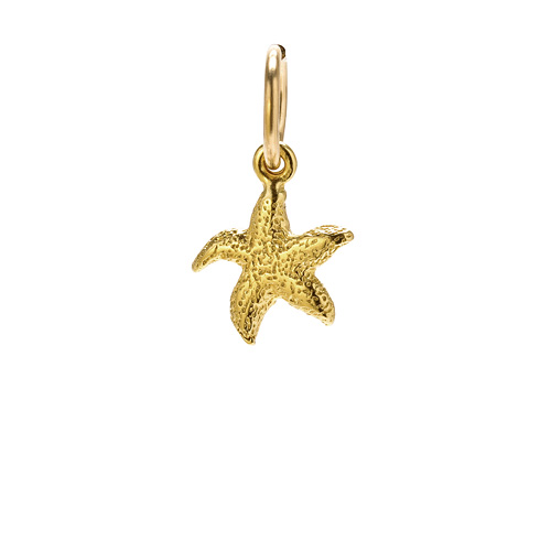 starfish charm, gold dipped