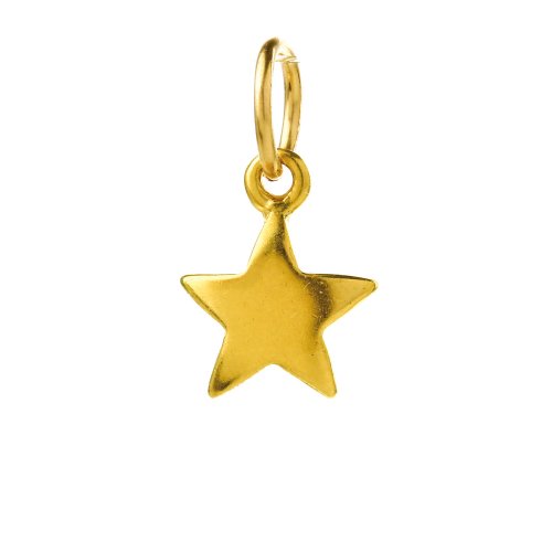 full star charm, gold dipped