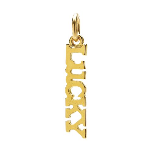 lucky charm, gold dipped